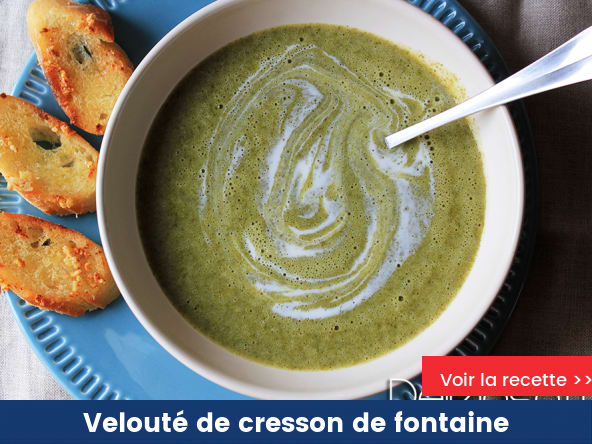 Velouté de cresson de fontaine